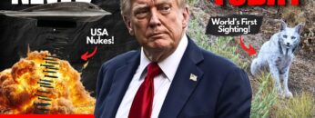 Private: [ID: K6uPCrOt5Rc] Youtube Automatic